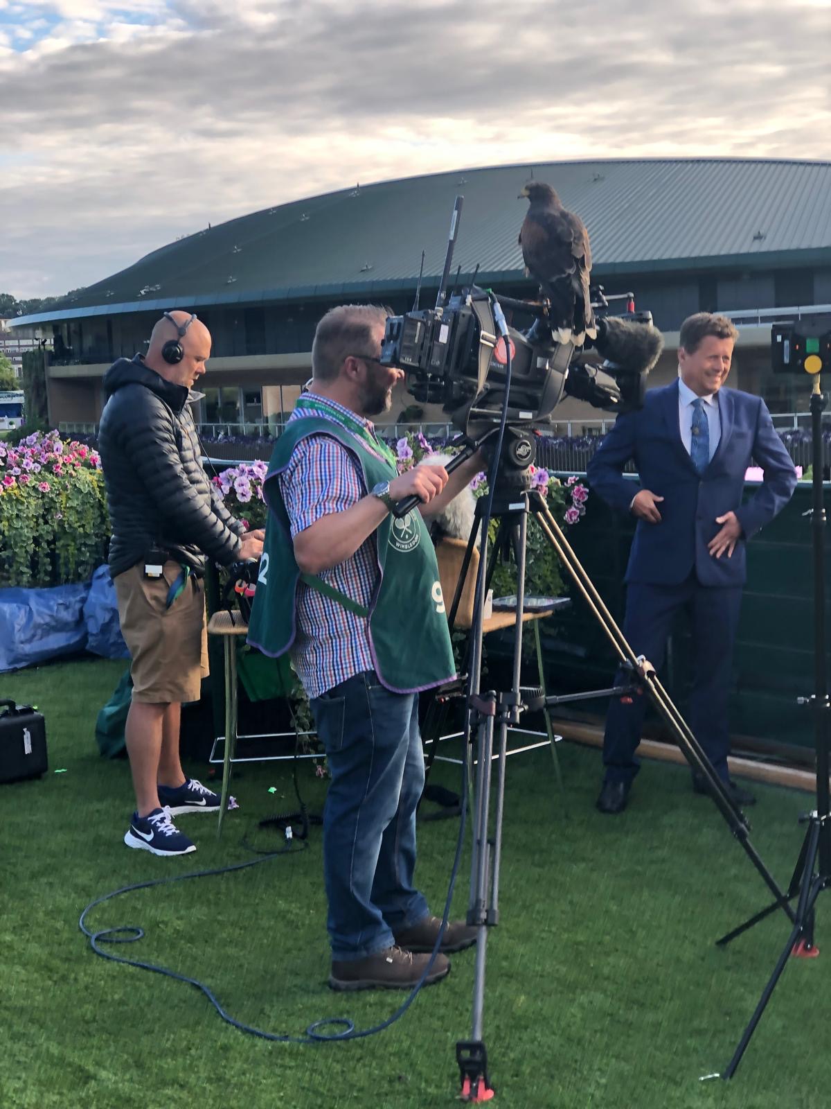 Wayne Davis with Rufus on broadcast camera at Wimbledon Championships — Avian Environmental UK operational