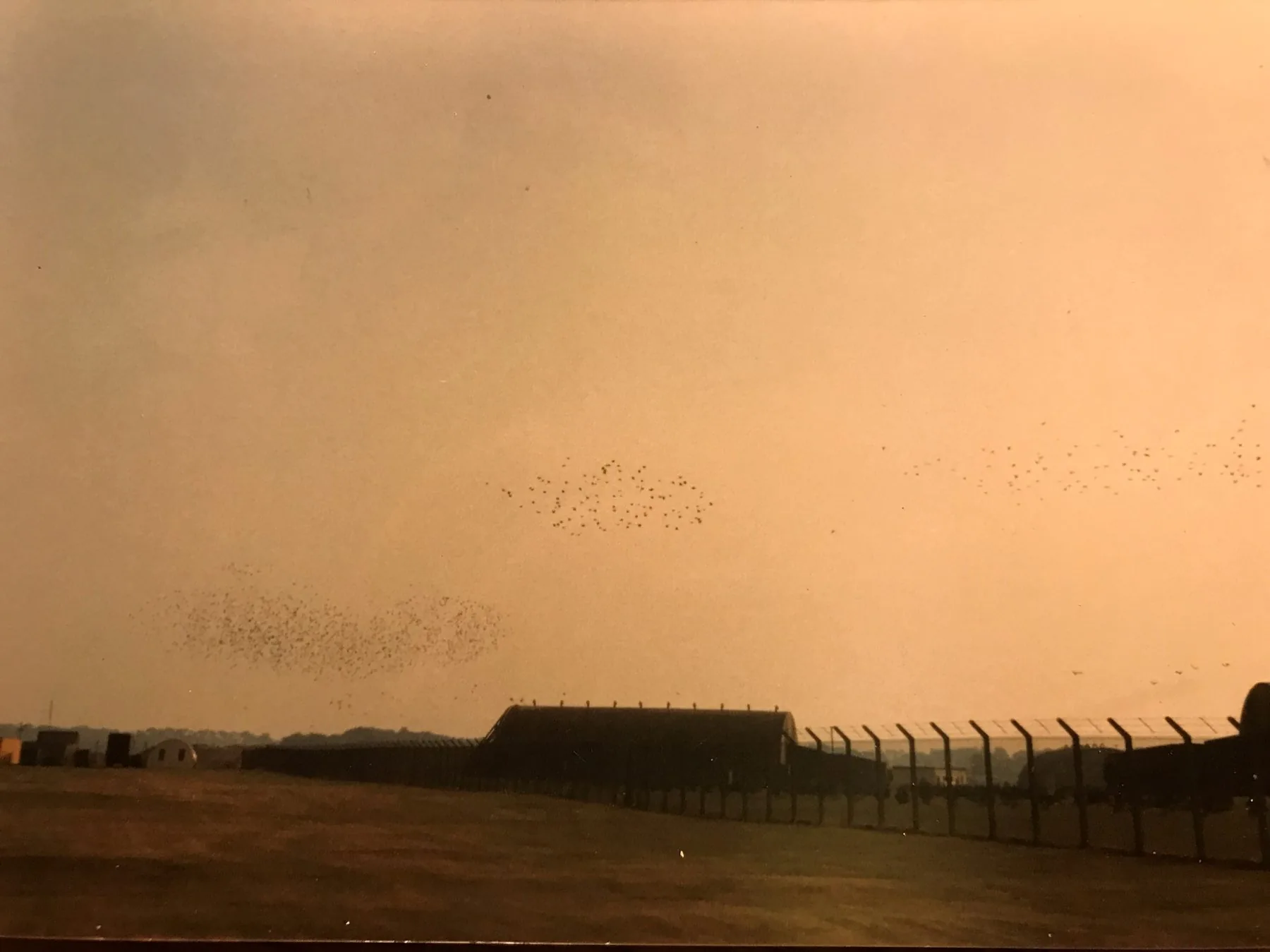Large mixed flock of corvids, lapwings and starlings wheeling low over RAF Lakenheath — hardened aircraft shelters visible under amber sky