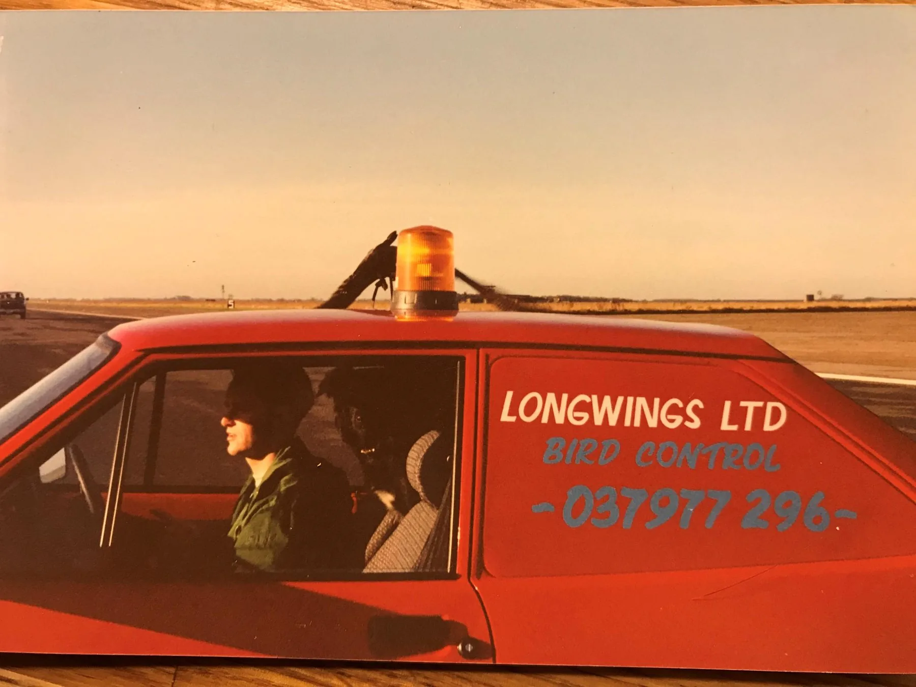 Longwings Ltd Bird Control red vehicle parked on the runway at RAF Mildenhall with amber beacon light active and a falcon perched on the roof