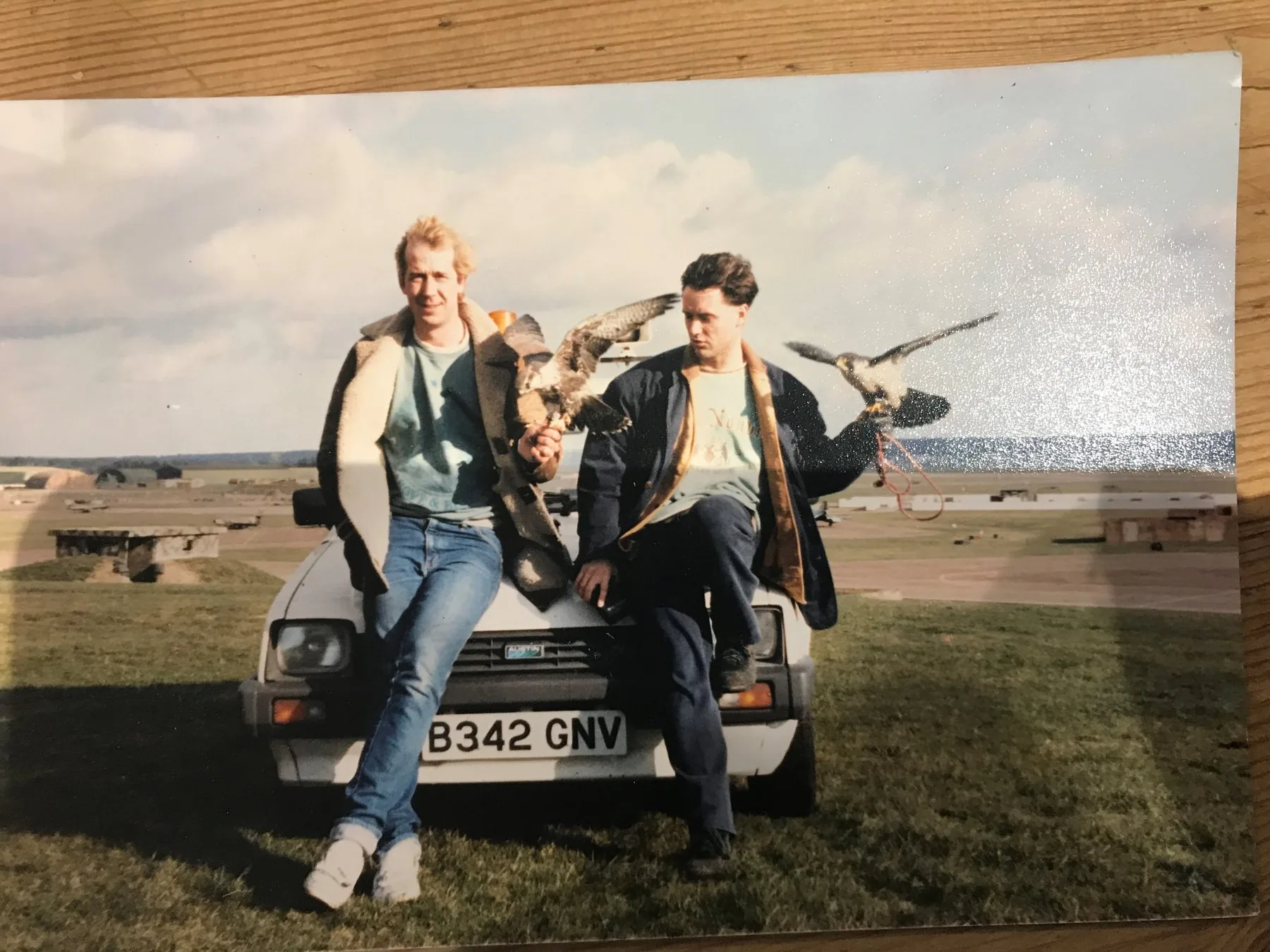 Wayne Davis and Keith Mutton seated on the bonnet of a car with trained falcons on the glove — RAF Lakenheath hardened aircraft shelters visible in the background