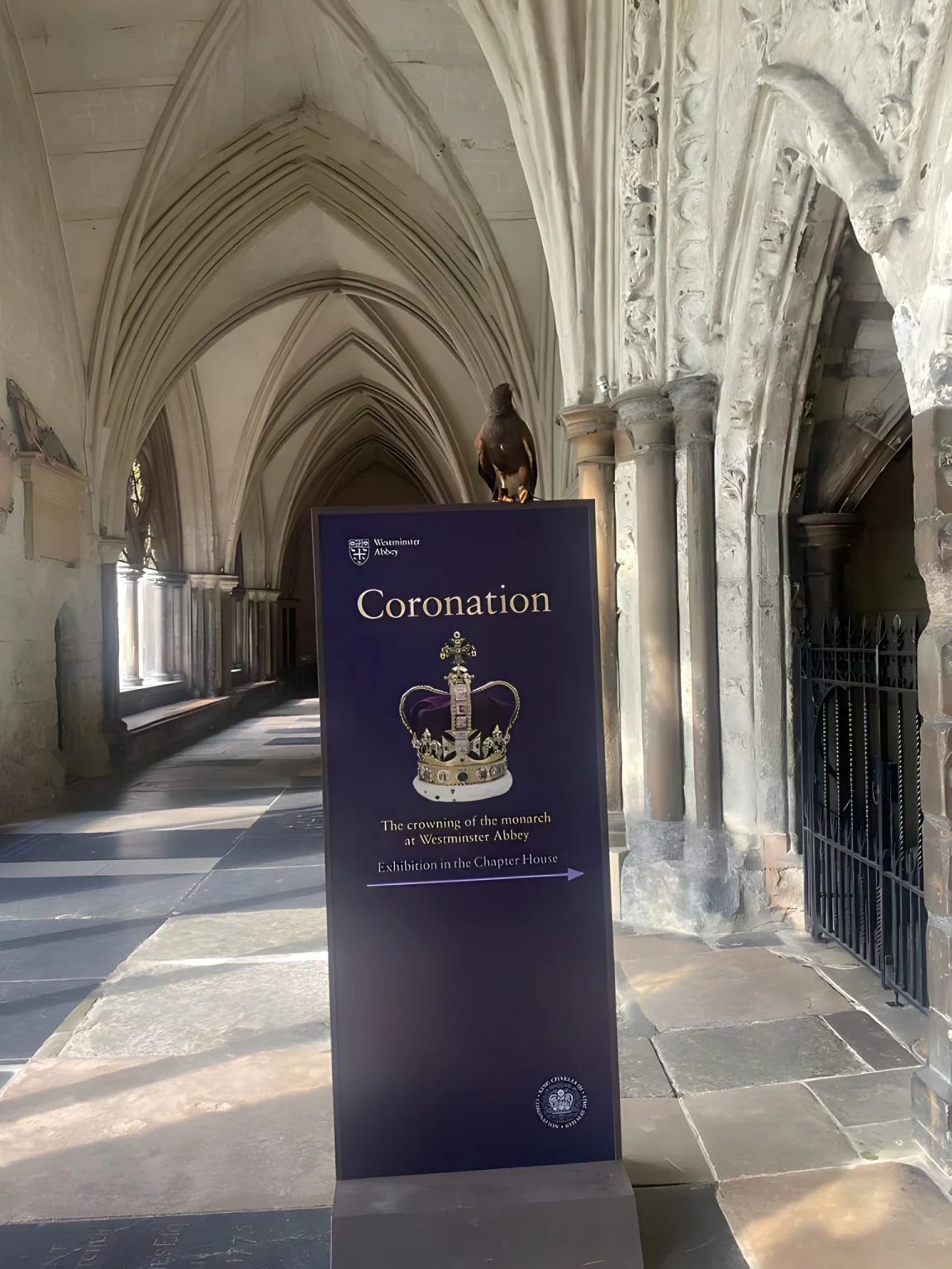 Operational falconry inside Westminster Abbey cloisters — bird management within a Grade I listed building